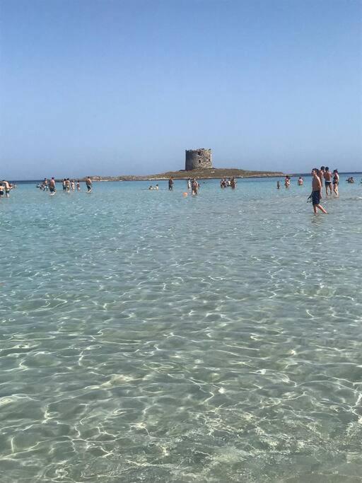 Casa Vacanze Stelle Marine Viddalba 외부 사진